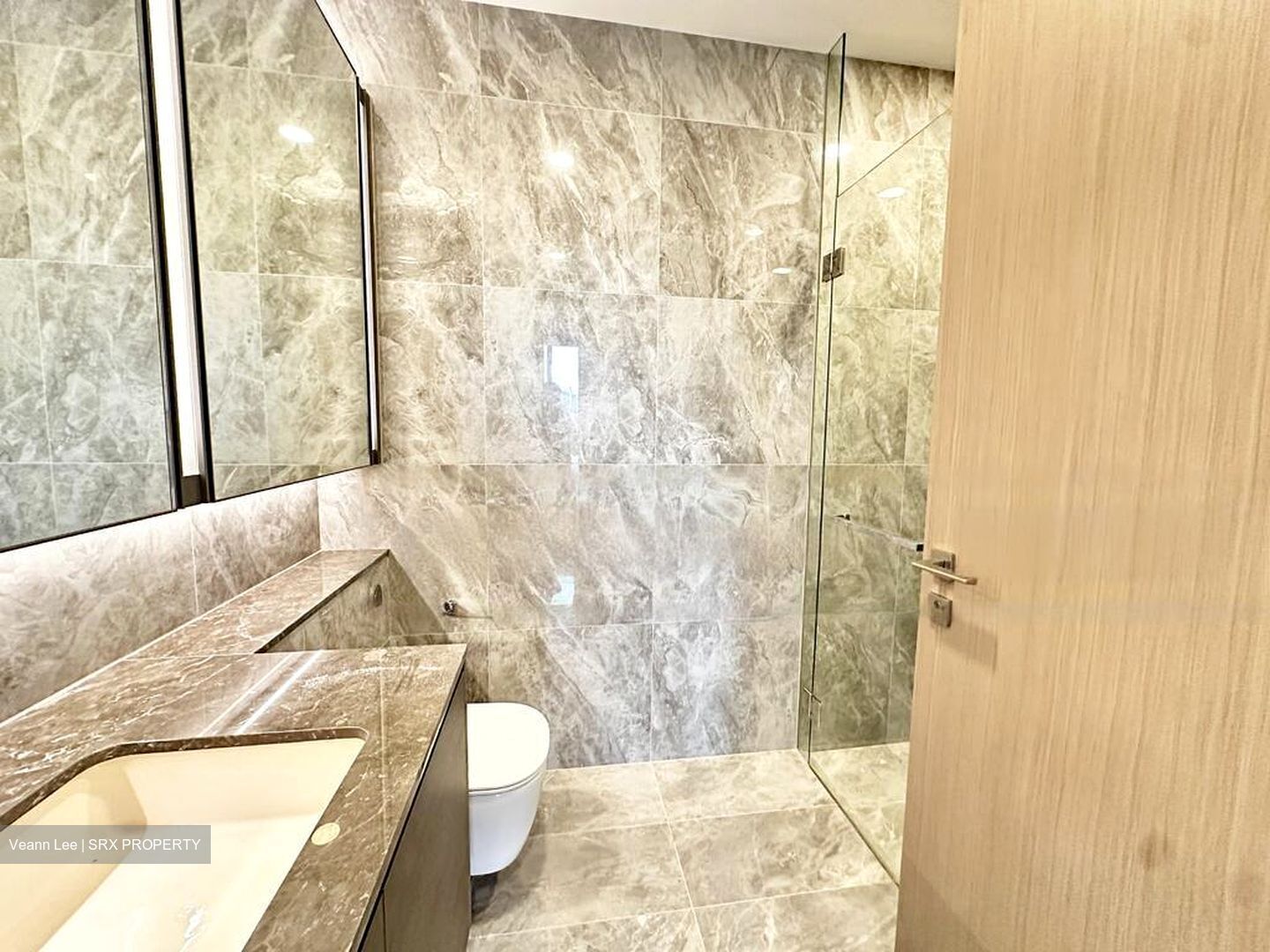 Leedon Green (D10), Condominium #509170211